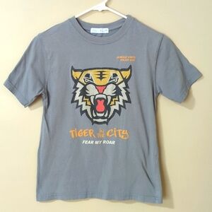 Boys Zara Tiger T-shirt Sz 9